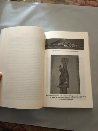 Libro de Buen Amor (Castalia Didáctica) (Spanis...