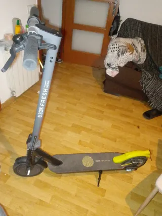 Patinete Eléctrico Fresh NEON Gris