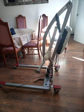 Grúa eléctrica en venta