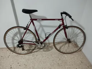 Bicicleta Carretera paseo América