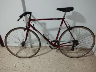 Bicicleta Carretera paseo América