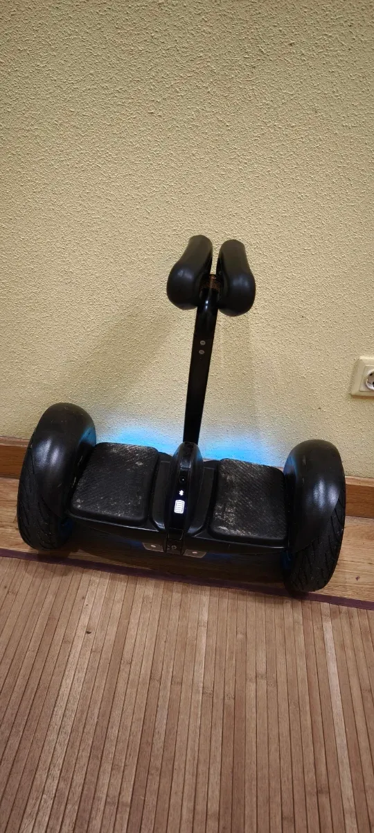 Segway Ninebot S