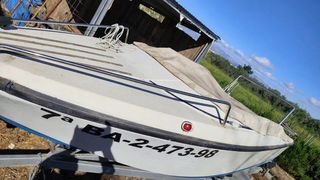 Embarcación de recreo y remolque.