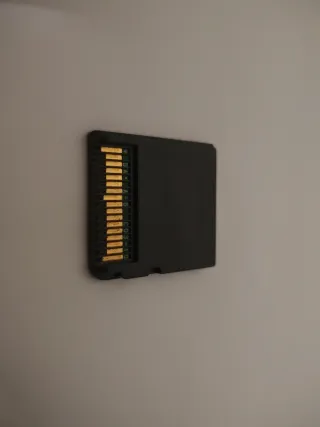 Animal Crossing Wild World DS