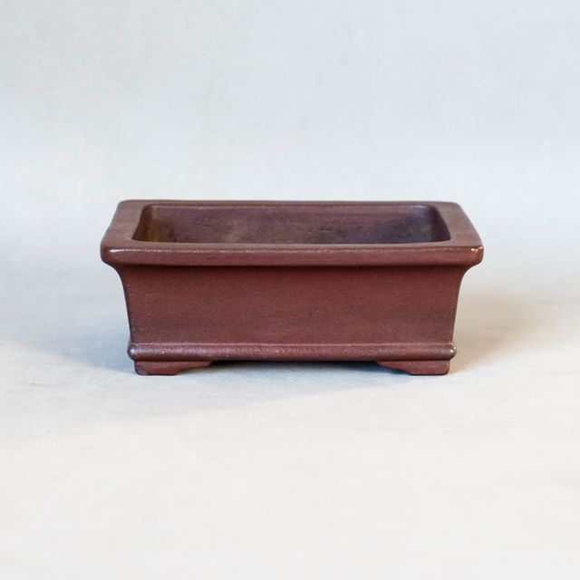 Maceta Bonsái japonesa - YAMAAKI - 13cm