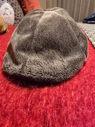 Gorra Goorin Brothers topo