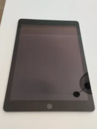 Apple iPad