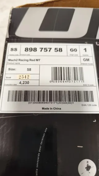 Casco Salomon y Gafas Esquiar