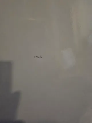 Mesa plegable terraza 70x70 cm. No sillas Recoger