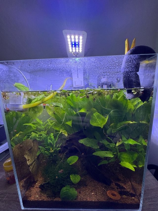 Kit Acuario Completo Oferta todo va incluido