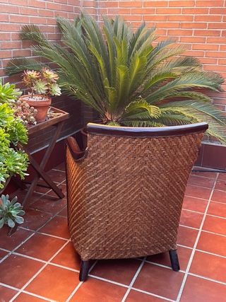 Pareja de sillones estilo balinés/colonial