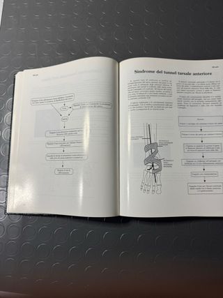 Kinesiologia applicata. Flowchart manual. Manua...
