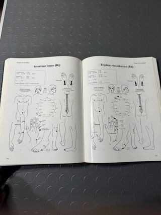 Kinesiologia applicata. Flowchart manual. Manua...