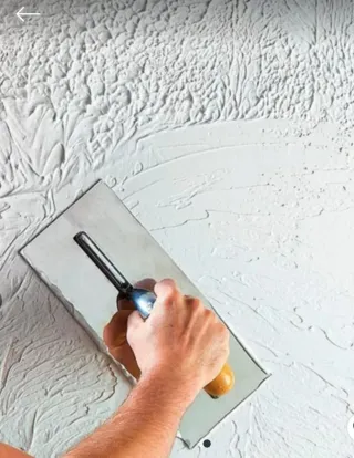 Pintor profesional económico