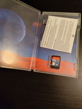 They Always Run Nintendo Switch