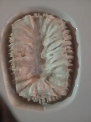 Belén Navideño de Piedra