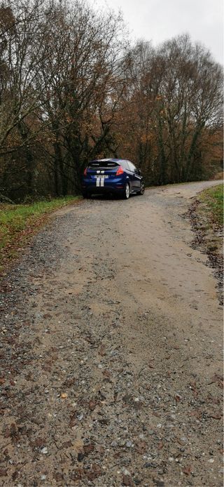 Ford Fiesta Sport 2010