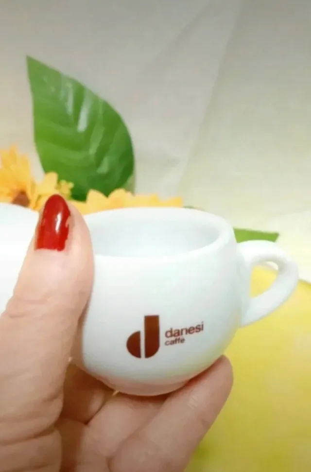 Set 6 Tazzine Caffè Piattini Danesi di Royal Mason