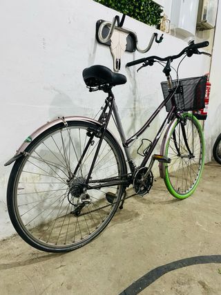 Bicicleta Paseo Gazelle Medeo