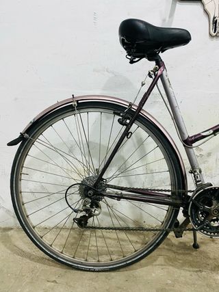 Bicicleta Paseo Gazelle Medeo