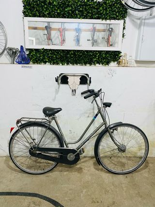 Bicicleta Paseo Select