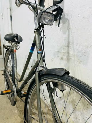 Bicicleta Paseo Select