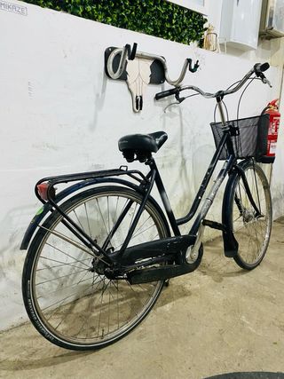 Bicicleta Paseo Pelikaan City