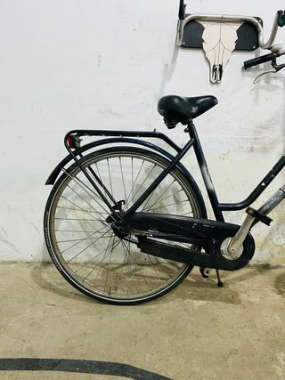 Bicicleta Paseo Pelikaan City