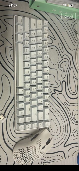 Mouse e tastiera bianchi