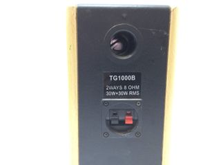 altavoces hifi dynavox tg-1000b