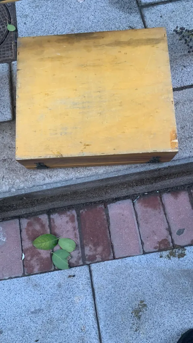 Caja de madera con cierre