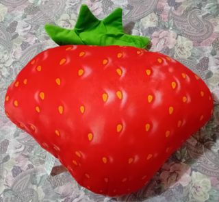 Coppia di morbidi cuscini Dolce & Citro Dufour