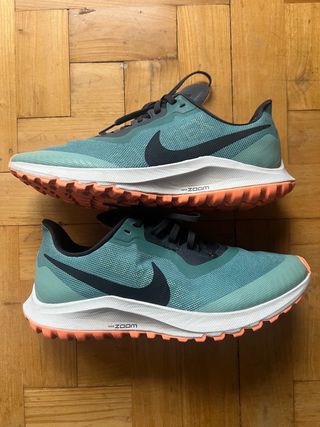 Nike Air Zoom Pegasus 36 Trail Gore-Tex T39