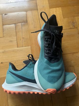 Nike Air Zoom Pegasus 36 Trail Gore-Tex T39