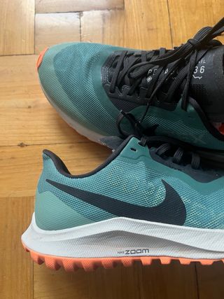 Nike Air Zoom Pegasus 36 Trail Gore-Tex T39