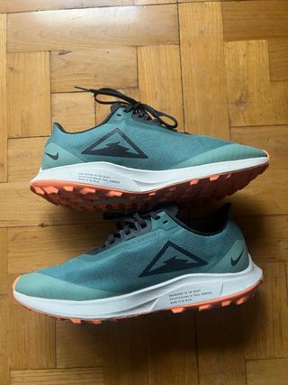 Nike Air Zoom Pegasus 36 Trail Gore-Tex T39