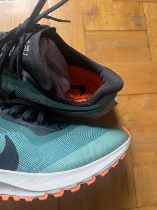 Nike Air Zoom Pegasus 36 Trail Gore-Tex T39