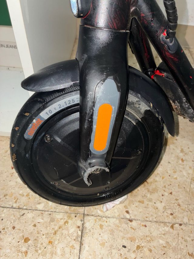 Patinete Eléctrico Ninebot d18