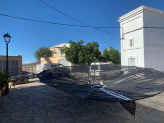 Abanico para aceituna 4m