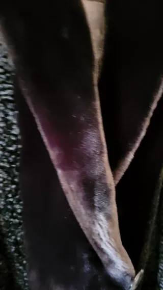 Cappotto Astrakan Nero