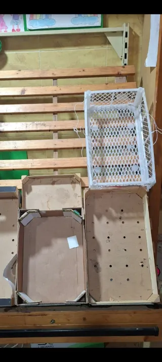 Mueble expositor frutería madera y plástico