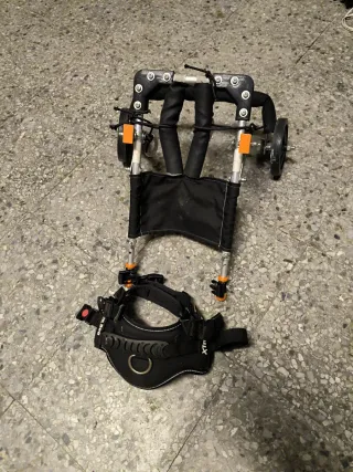 Silla de ruedas para perro