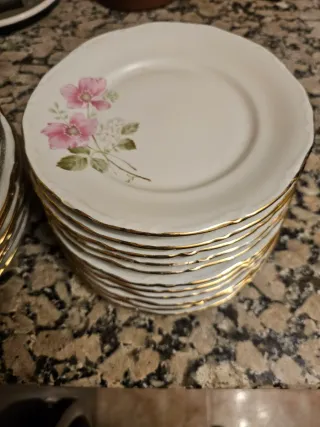 Platos CIFPLA Gijón porcelana flores rosas