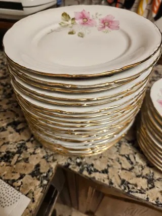 Platos CIFPLA Gijón porcelana flores rosas