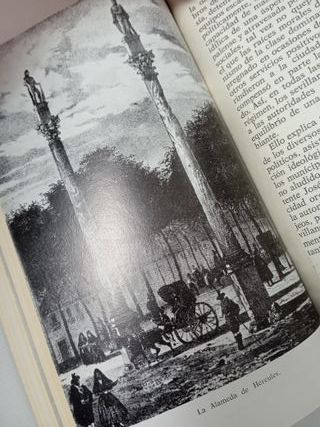 SEVILLA : DEL ANTIGUO AL NUEVO REGIMEN