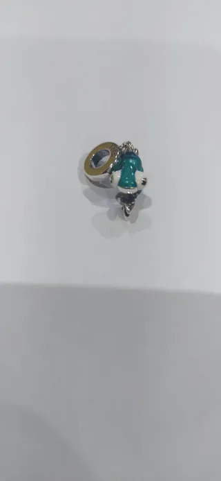 Charm de plata