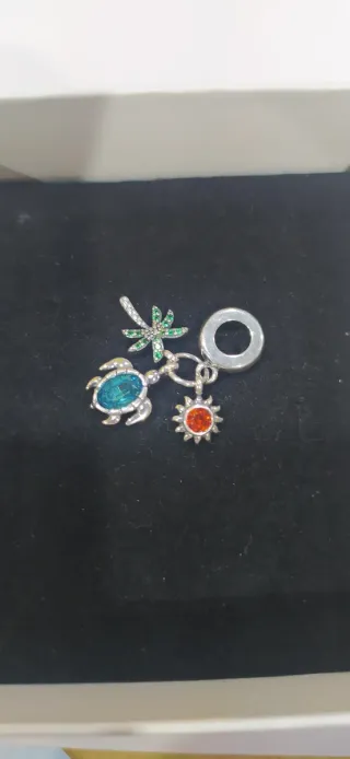 Charm de plata