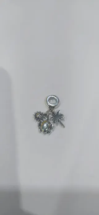 Charm de plata