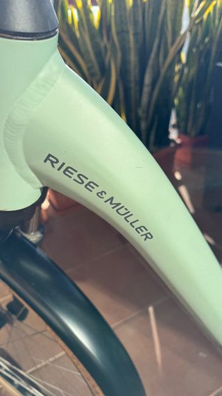 Bicicleta Eléctrica Riese & Müller,matt 43 (26)