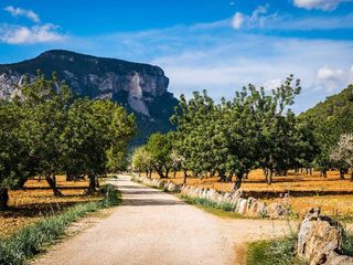 Solar en venta en Alaró
